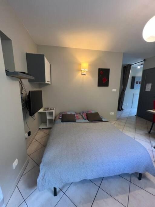Le Fsi .Confort*Wifi*Parking*Ski - Cure Thermale-Les Lodges De Sandrine La Léchère Dış mekan fotoğraf
